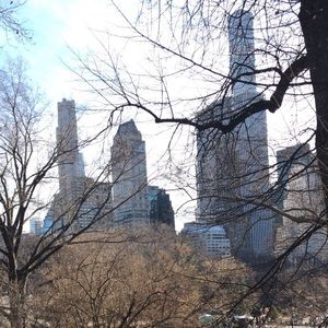 Meet your Posher, Bridget